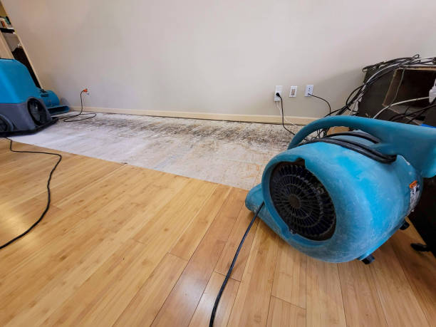 Professional Water Damage Repair technician working in Dennehotso, AZ